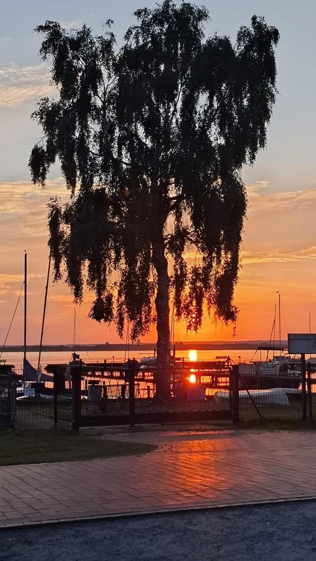 Seeliebe, 300 Meter Zum Wasser, Mit Terrasse Und Garten Lembruch Exterior foto