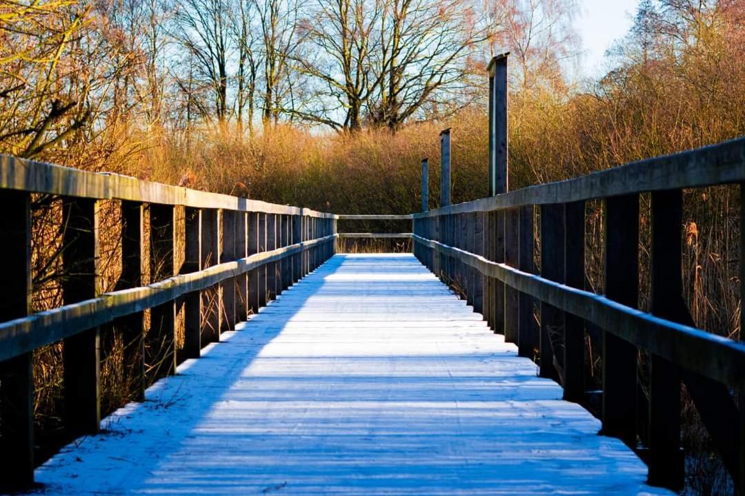 Seeliebe, 300 Meter Zum Wasser, Mit Terrasse Und Garten Lembruch Exterior foto