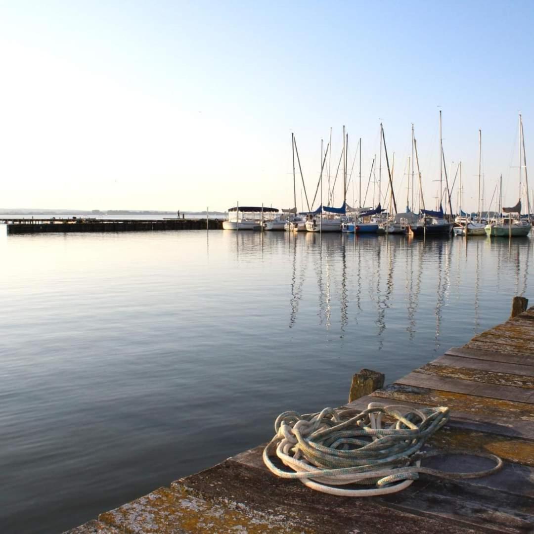 Seeliebe, 300 Meter Zum Wasser, Mit Terrasse Und Garten Lembruch Exterior foto